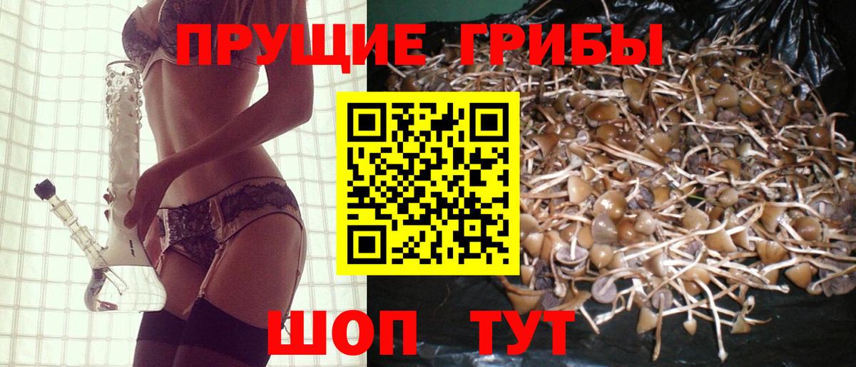 Галлюциногенные грибы GOLDEN TEACHER Кинешма